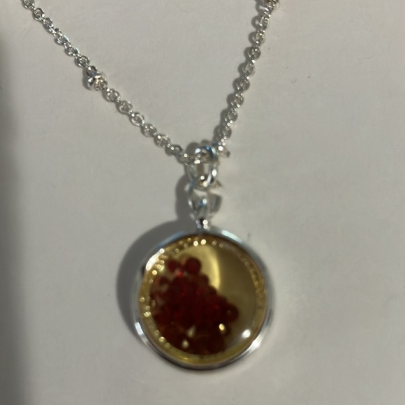 NWT Lauren Conrad Silver necklace with red July birthstone. 16” - Picture 2 of 2